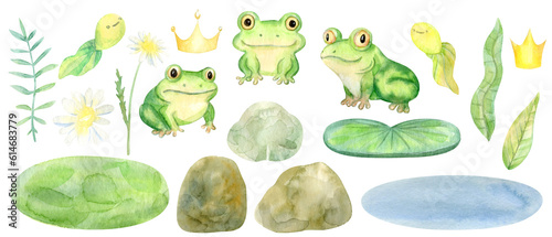 Hand Drawn Watercolor Cute Cartoon Frogs Set