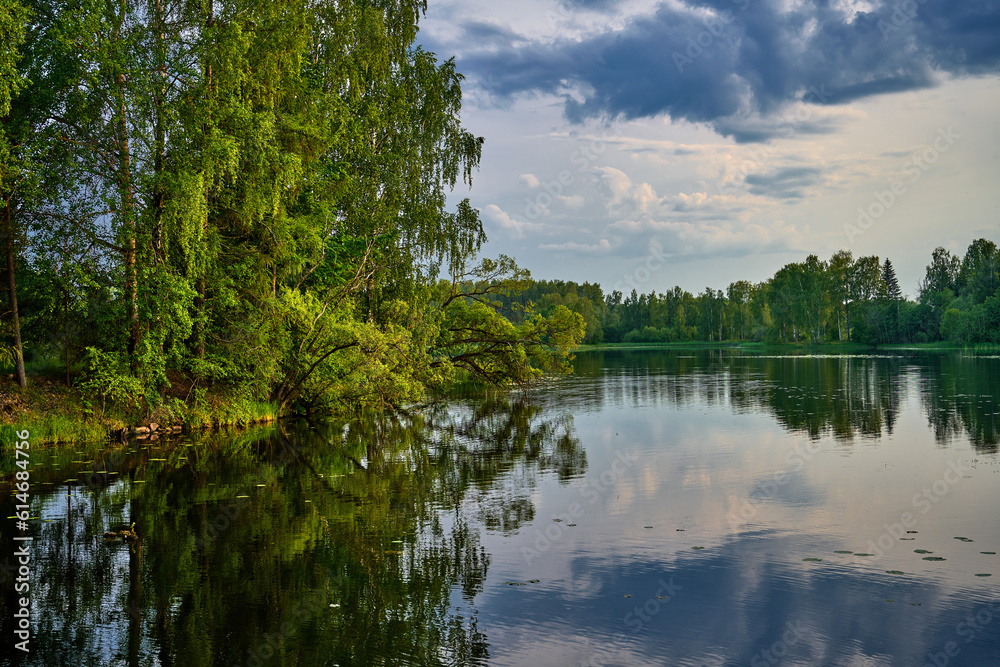Obraz premium Beautiful spring natural landscape with a lake surrounded by green foliage of trees.