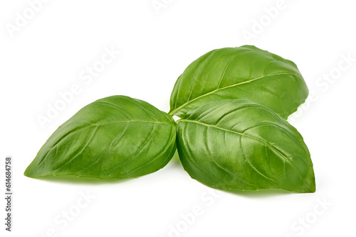 Fresh basil leaves, close-up, isolated on white background.