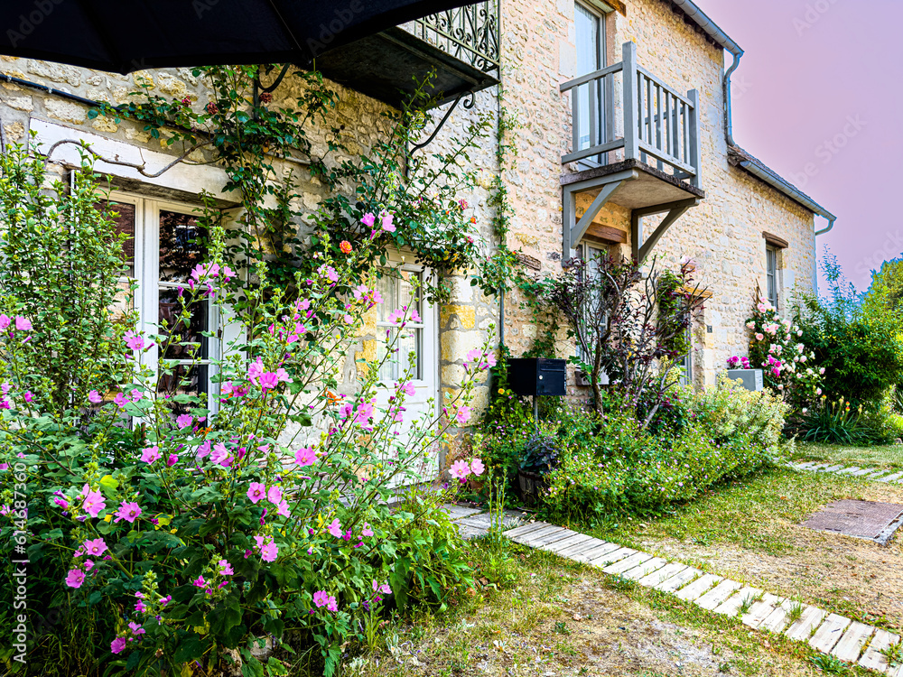 Obraz premium old house with flowers