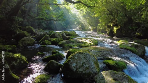 初夏の菊池渓谷