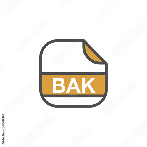 BAK File Extension, Rounded Square Icon with Text - Format Extension Icon Vector Illustration.