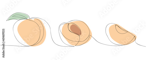 peach. a drawing drawn with a single line. black lines with added color. peach slices. modern style of drawing. vector. juicy fruit.