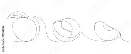 peach. a drawing drawn with a single line. black lines with added color. peach slices. modern style of drawing. vector. juicy fruit.