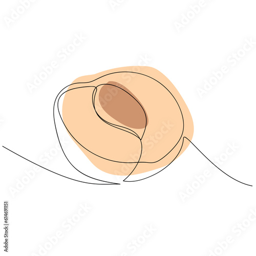 peach. a drawing drawn with a single line. black lines with added color. peach slices. modern style of drawing. vector. juicy fruit.