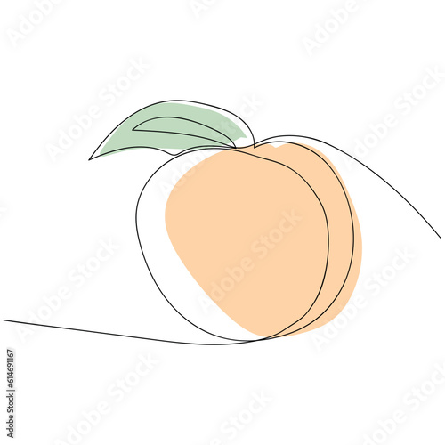 peach. a drawing drawn with a single line. black lines with added color. peach slices. modern style of drawing. vector. juicy fruit.