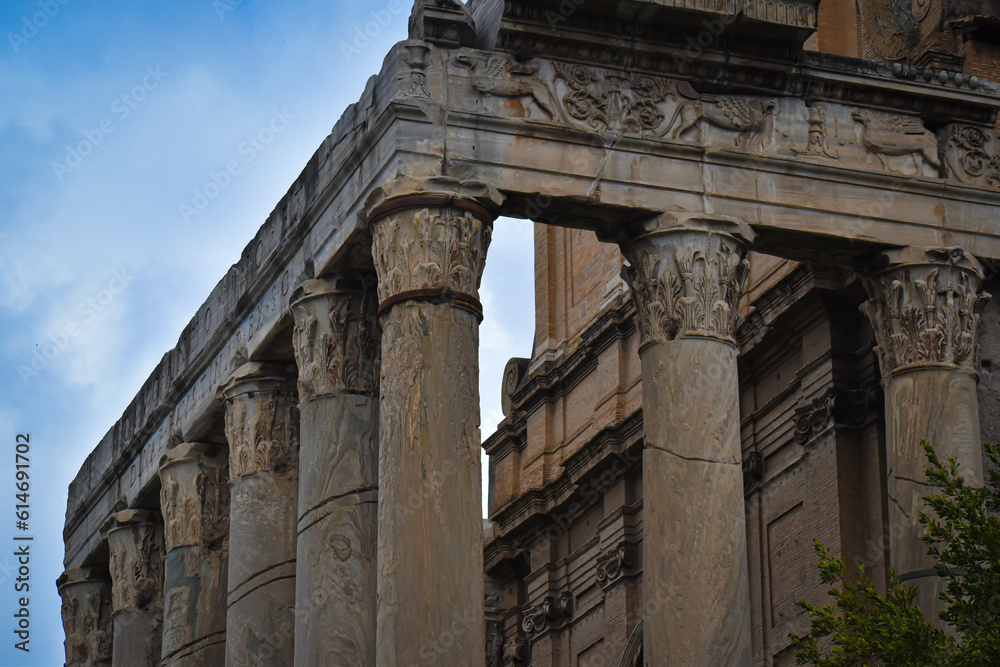 Obraz premium the Roman forum