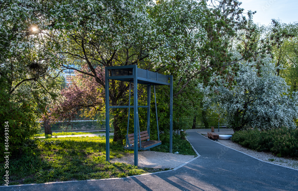 Swing in a green park on a summer morning. Swing in a green park on a summer morning.