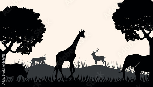 Photography Black and white of Jungle forest landscape design vector illustration