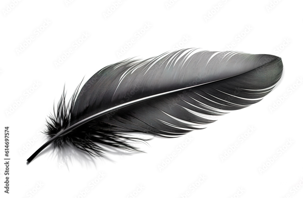 Image of black feather on white background. Illustration, Generative AI. Image of black feather on white background. Illustration, Generative AI.