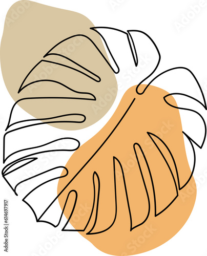 monstera leaf boho element outline hand drawn