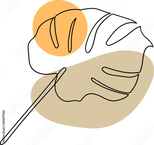 monstera leaf boho element outline hand drawn