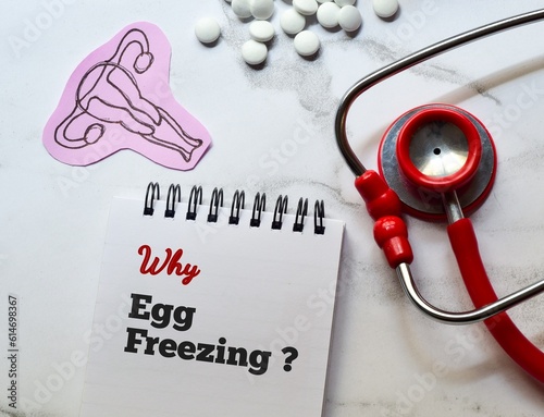 Why Egg Freezing question in notepad with paper cut hand drawn woman reproductive system and stethoscope on desk. Medical background, top view. photo