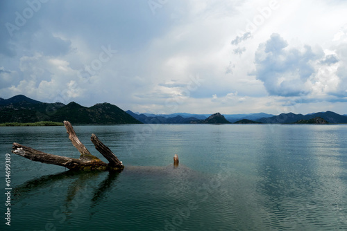 Famous tranquil Skadar lake with calm water and sunk tree trunk in front. Wild nature backgrounds in Montenegro