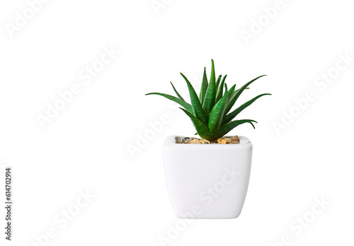 plant in a pot png