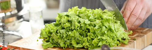 Hands of cook are preparing vegetable salad closeup. Cutting lettuce leaves and preparing vegetarian food