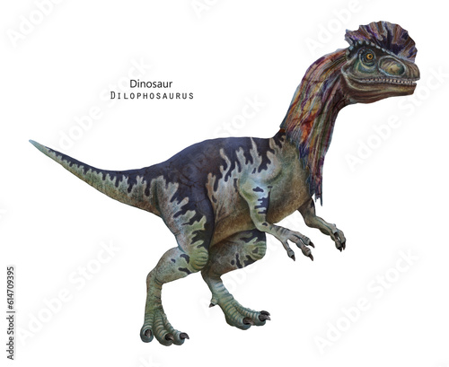 Dilophosaurus illustration. Dinosaur with crest on head. Green  grey dino