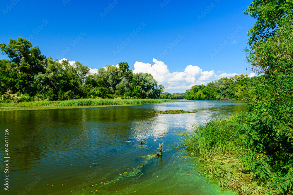 Summer landscape with the green trees and river Summer landscape with the green trees and river