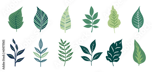 Set of vector green leaves, plant doodle sticker, illustration for sticker, notebook, presentation.