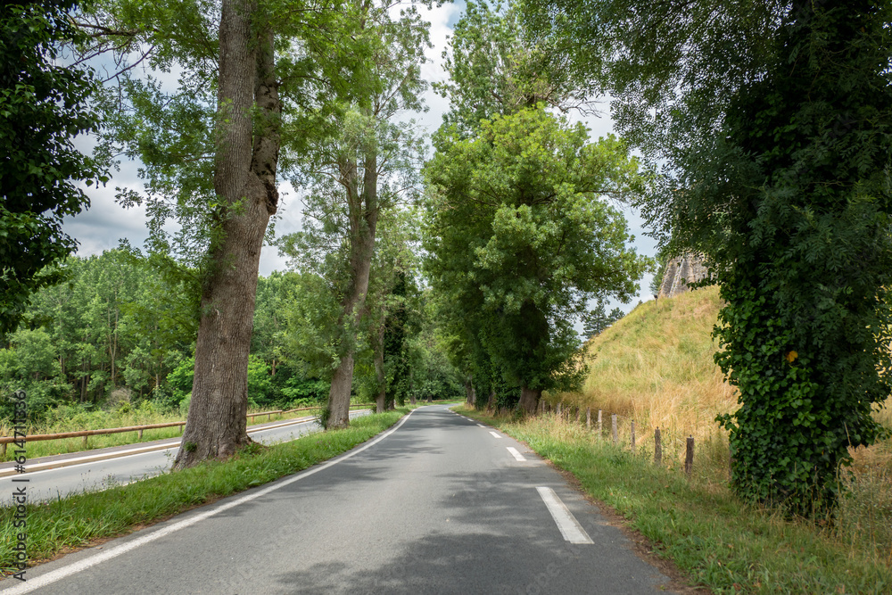 Estrada de asfalto de duas vias separadas com grandes árvores a meio e na berma num dia nublado