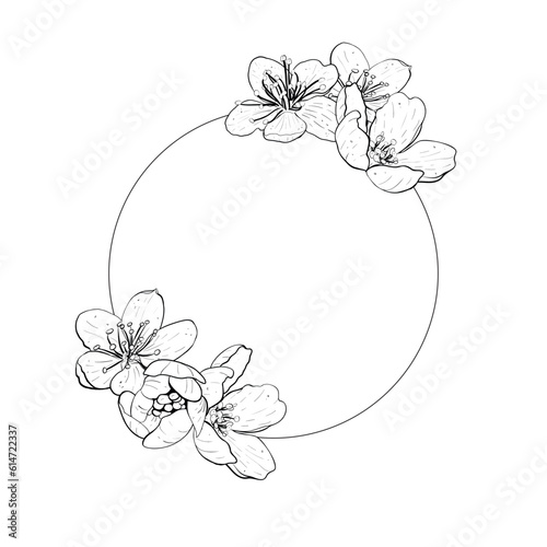 Vector illustration ring frame composition with flowers of cherry  sakura  apple  plum  wild cherry plum  bird cherry  pear. Black outline of petals  graphic drawing. For postcards  design and