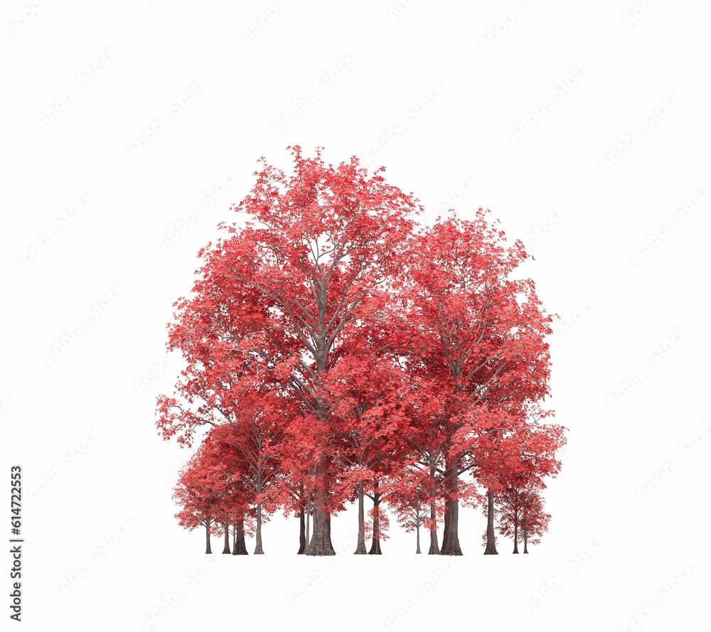 Fototapeta premium group of trees with a shadow under it, isolated on white background, 3D illustration, cg render