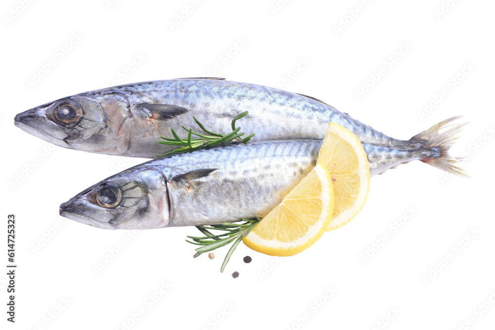 Fish mackerel isolated