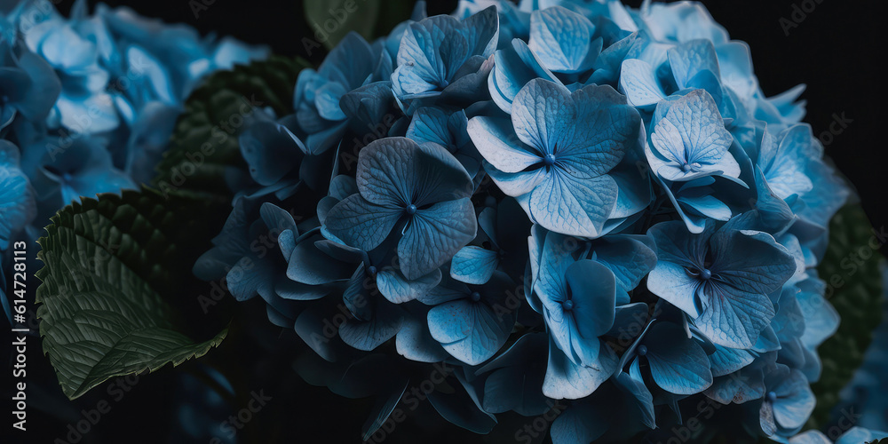 Closeup of blooming blue, purple hydrangea or hortensia. Botanical flowers background. Macro Shoot. Nature summer wallpaper. Generative ai Closeup of blooming blue, purple hydrangea or hortensia. Botanical flowers background. Macro Shoot. Nature summer wallpaper. Generative ai
