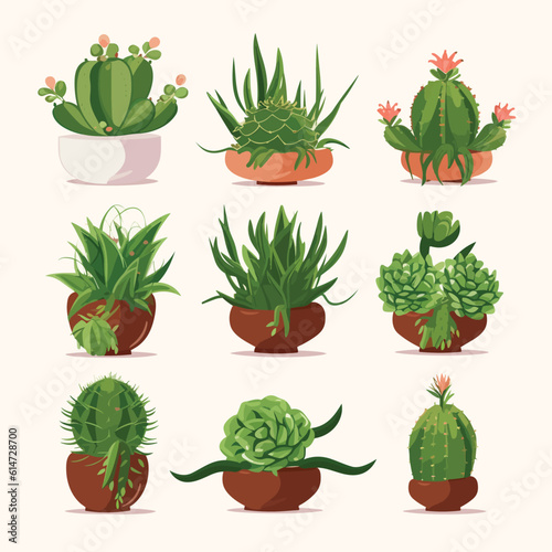 Succulents vector set isolated on white