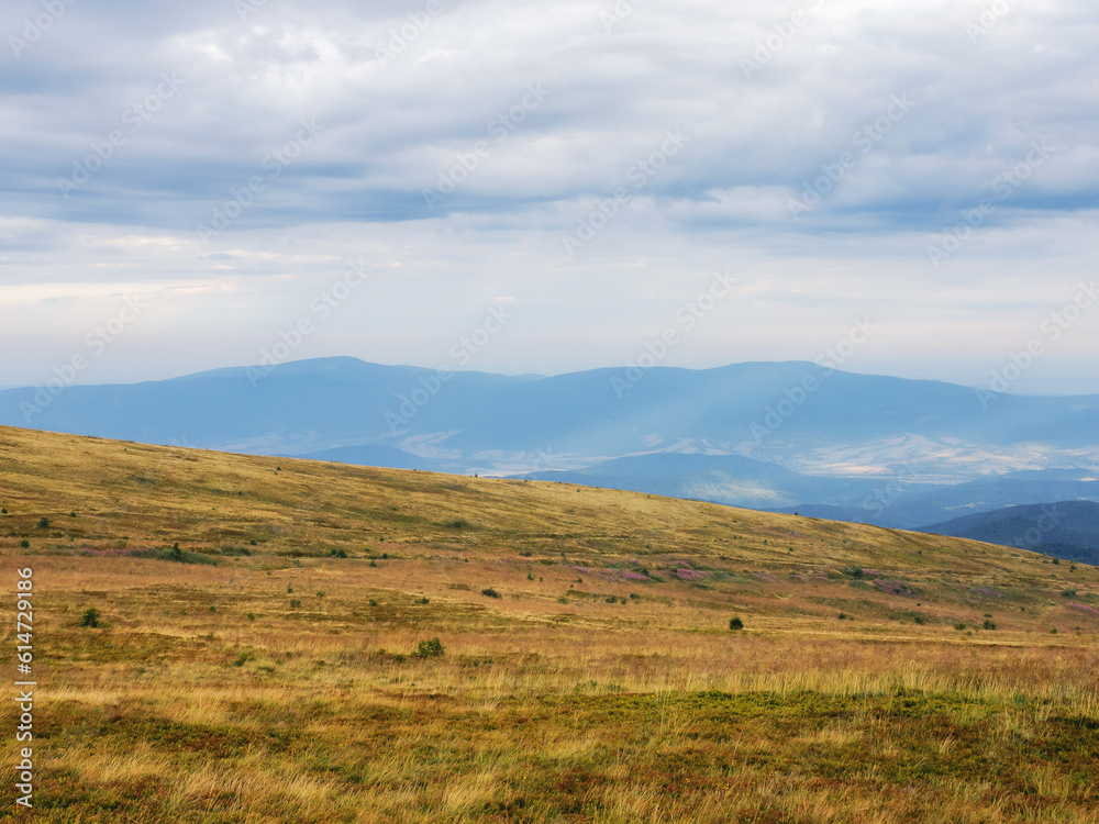 carpathian countryside with grassy meadows. view in to the distant rural valley