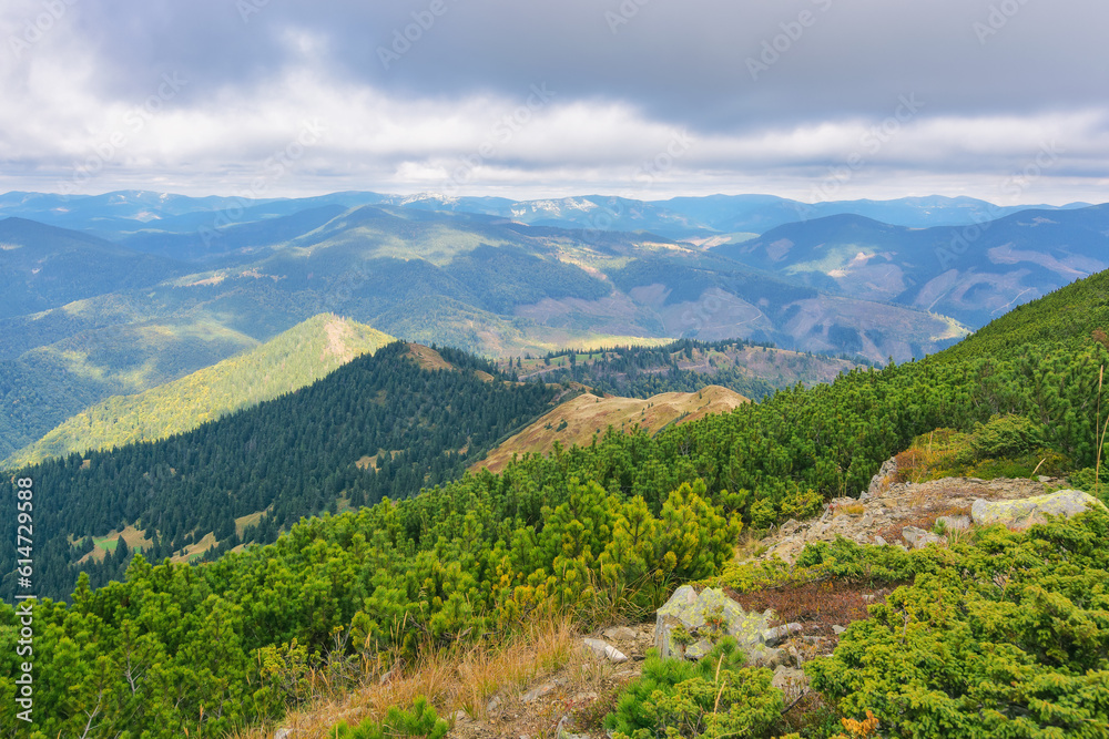 rolling hills of carpathian mountains in autumn. beautiful landscape of ukraine on a cloudy day