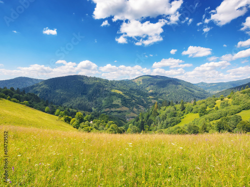 carpathian countryside with grassy meadows. beautiful rolling landscape in summer with stunning sky