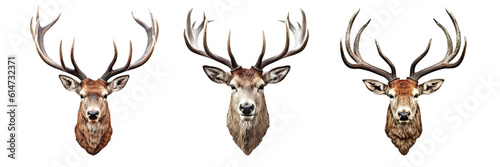 Set of deer heads isolated on transparent background - Generative AI