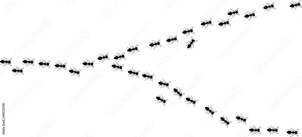 Worker ants trail line flat style design vector illustration isolated on white background. Top view of ants bug road trail marching in the line row. Pest control or insect searching concept. Worker ants trail line flat style design vector illustration isolated on white background. Top view of ants bug road trail marching in the line row. Pest control or insect searching concept.
