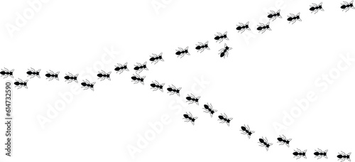 Worker ants trail line flat style design vector illustration isolated on white background. Top view of ants bug road trail marching in the line row. Pest control or insect searching concept.
