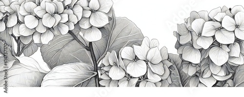 Hydrangea black lines stroke art on white background Generative AI