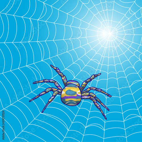 spider on the web