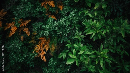 Green foliage background © ZEKINDIGITAL