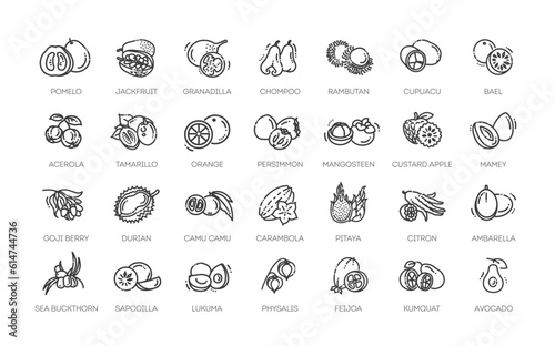 Fruit Healthy eating Thin Line Pack. Vector icons photo
