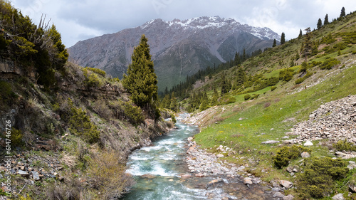 beautiful mountain gorge. stormy mountain river