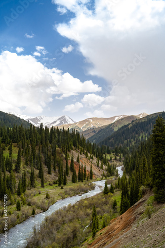 a river in a beautiful mountain gorge. river in the forest. summer mountains