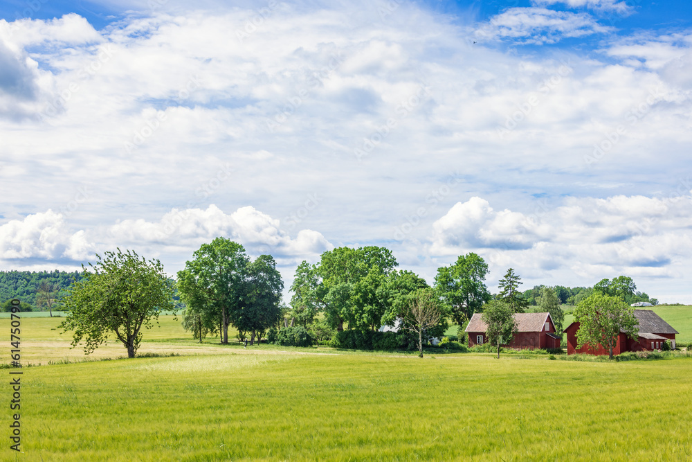 Farm in a tree grove at the countryside