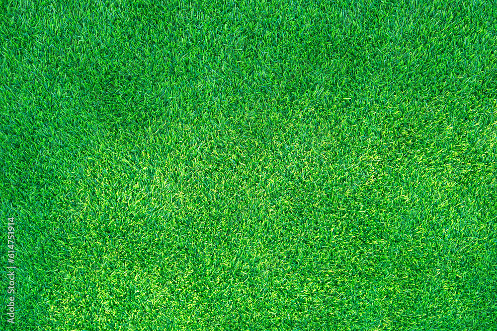 Fototapeta premium green grass background