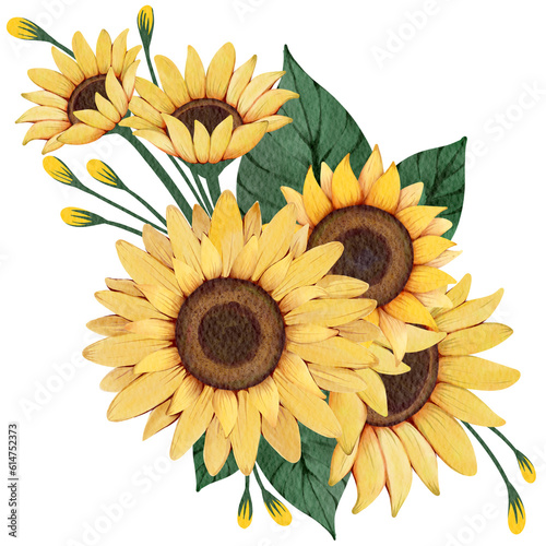 sunflower isolated on white