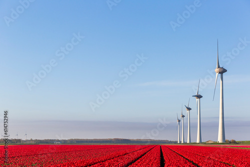Obraz na płótnie Red tulip fields and wind turbines in the Flevoland w salonie