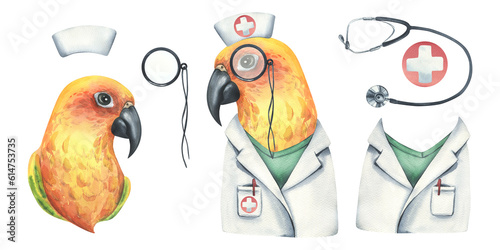 Yellow parrot is a doctor, in a medical gown and a cap with pince-nez. Watercolor illustration. Isolated objects on a white background from the VETERINARY collection. For the design.