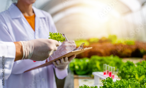 agriculture, nature, growth, science, researcher, eco, chemical, laboratory, farming, organic. researcher of hands hold test tube and research sample organic agriculture laboratory to harvest product.