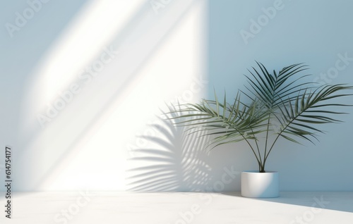 Light blue wall with shade and plant on the floor in a vase