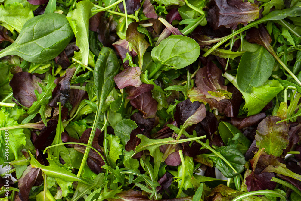 Fresh mix of salads with edible flowers. Top view. Fresh mix of salads with edible flowers. Top view.