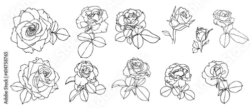 Fototapeta Naklejka Na Ścianę i Meble -   Set of sketches of flowers and rose buds. Vector graphics.